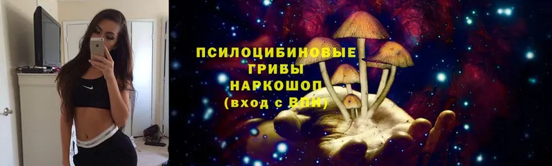 Галлюциногенные грибы Cubensis  где можно купить   Нижневартовск 